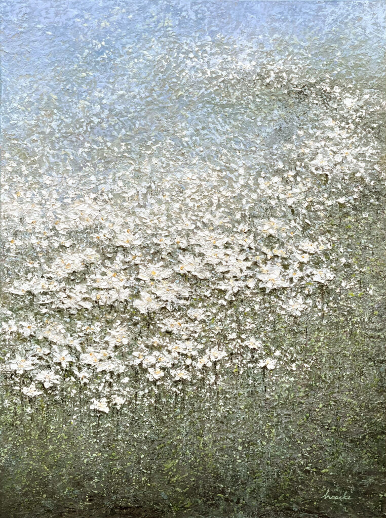 Daisies